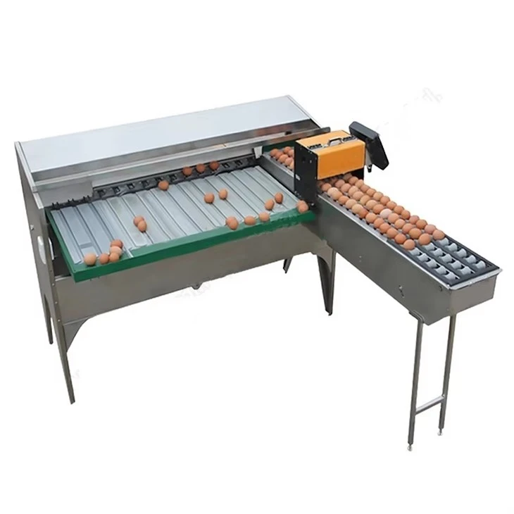 Egg Screening Machine Size Classification Equipment